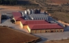 Picture of Bodega in Penedés (Catalunya)