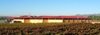 Picture of Bodega in Penedés (Catalunya)