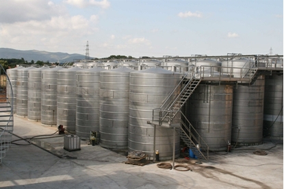 Picture of Bodega in Penedés (Catalunya)