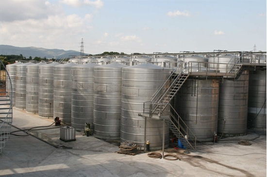 Picture of Bodega in Penedés (Catalunya)