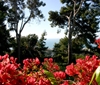 Picture of Villa 15th century - Hacienda de San Anton, Malaga, Spain