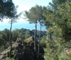 Picture of Villa 15th century - Hacienda de San Anton, Malaga, Spain