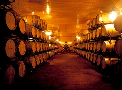 Picture of Bodega with capacity 200,000 L., Spain