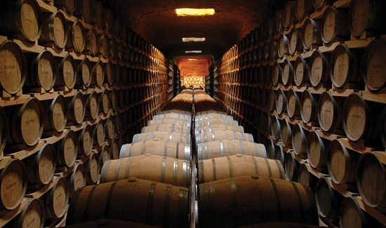 Picture of Bodega with capacity 230,000 L., Spain