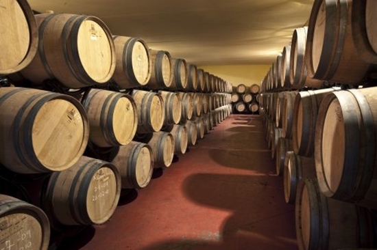 Picture of Bodega with capacity 450,000 L., Spain