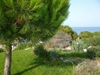 Picture of Villa Conca for rent, La Gavina